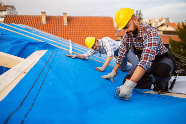 Best Roof Gutter Cleaning  in Washington Heights, NY